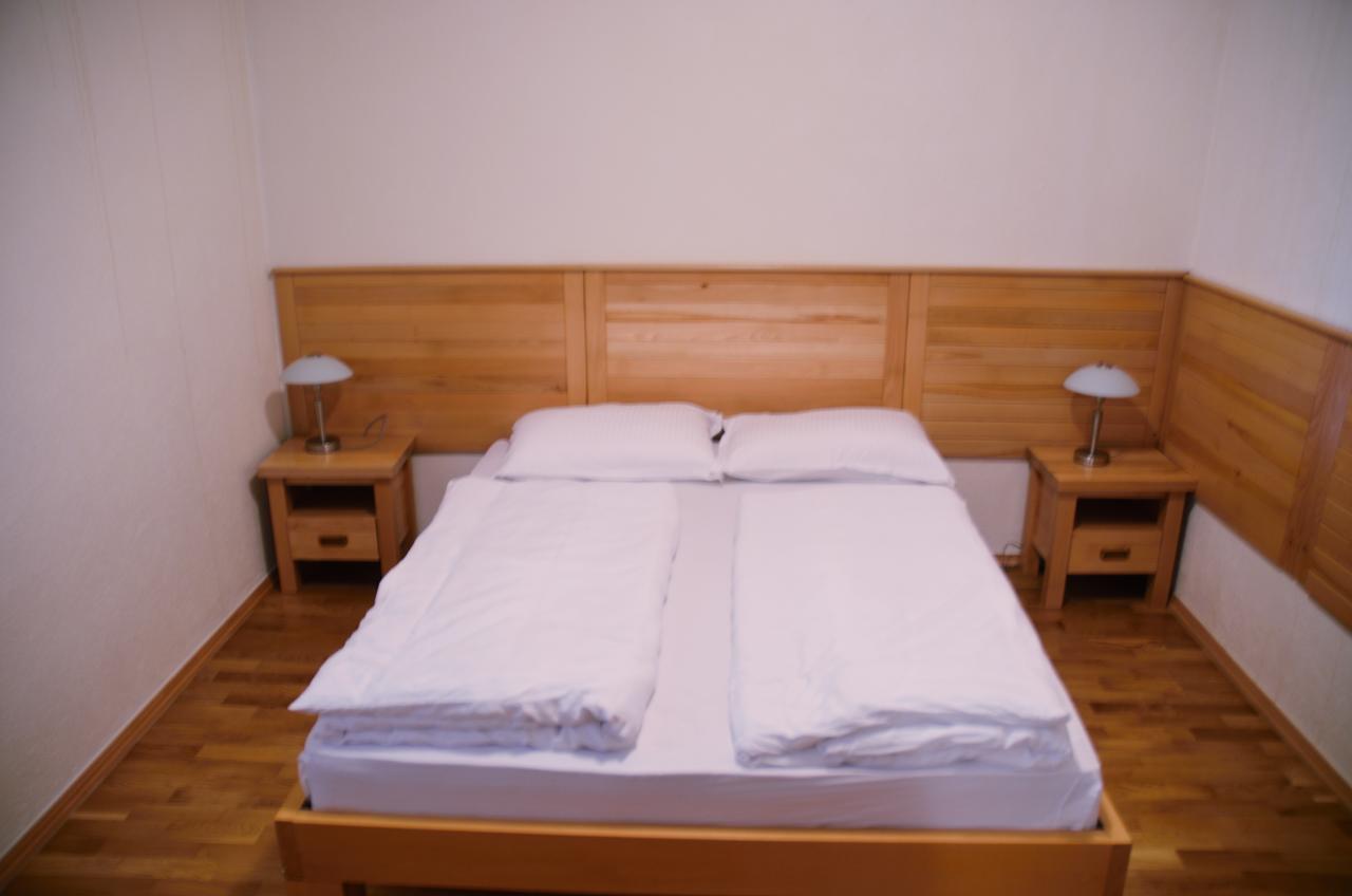 Hotel Borici シェニツァ エクステリア 写真